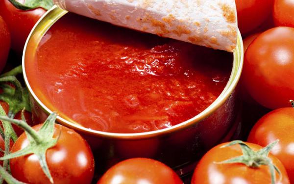 واردات رب گوجه فرنگی 10 کیلویی