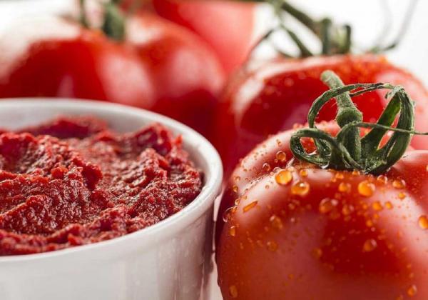 توزیع کننده رب گوجه فرنگی مرغوب