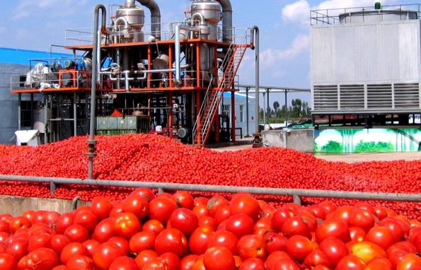 کارخانه رب گوجه فرنگی صنعتی