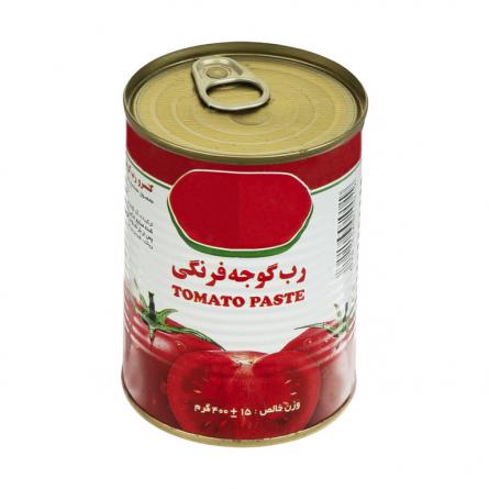 قیمت فروش رب گوجه فرنگی 400 گرمی در تهران